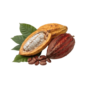 Cacao