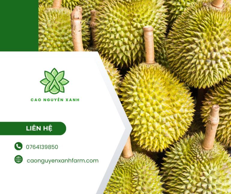 Giải pháp công nghệ cao cho thị trường Việt Nam