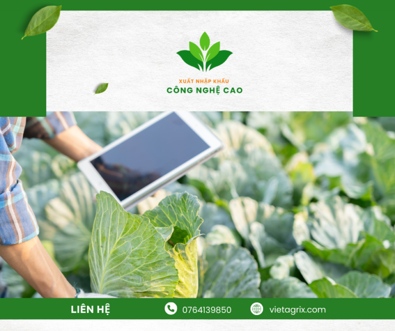 Công nghệ cao kết nối chuỗi cung ứng toàn cầu