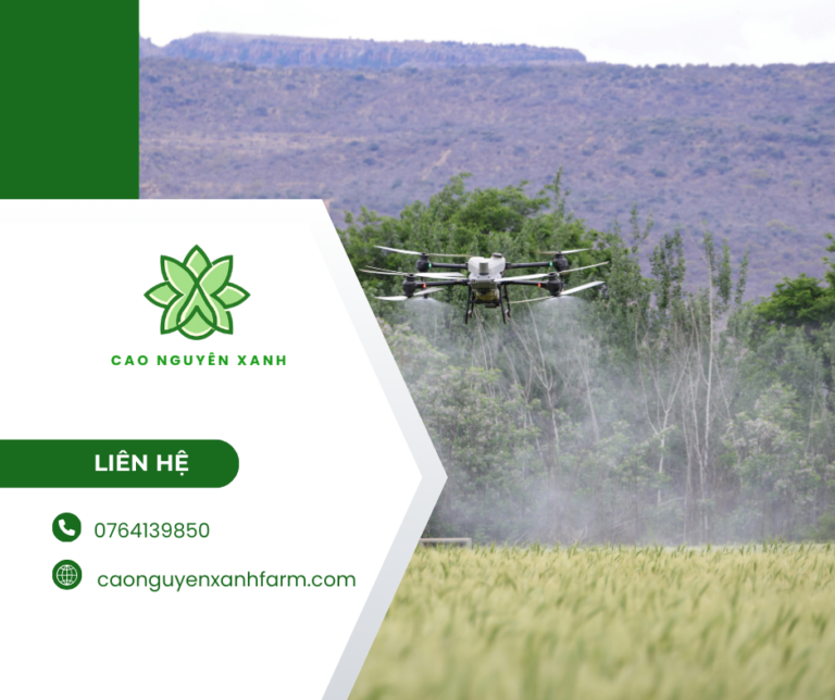 Công nghệ cao xuất khẩu sản phẩm đạt chuẩn quốc tế