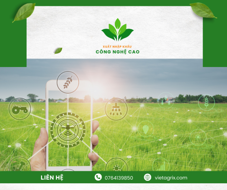 Công nghệ cao phát triển thị trường phân phối nội địa