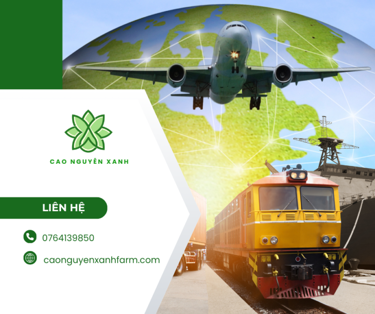 Xuất khẩu sản phẩm công nghệ cao sang thị trường quốc tế