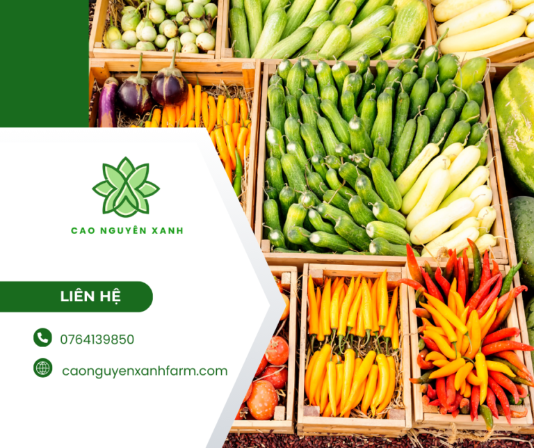 Nhập khẩu công nghệ cao phục vụ sản xuất trong nước